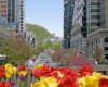 McGill College Avenue