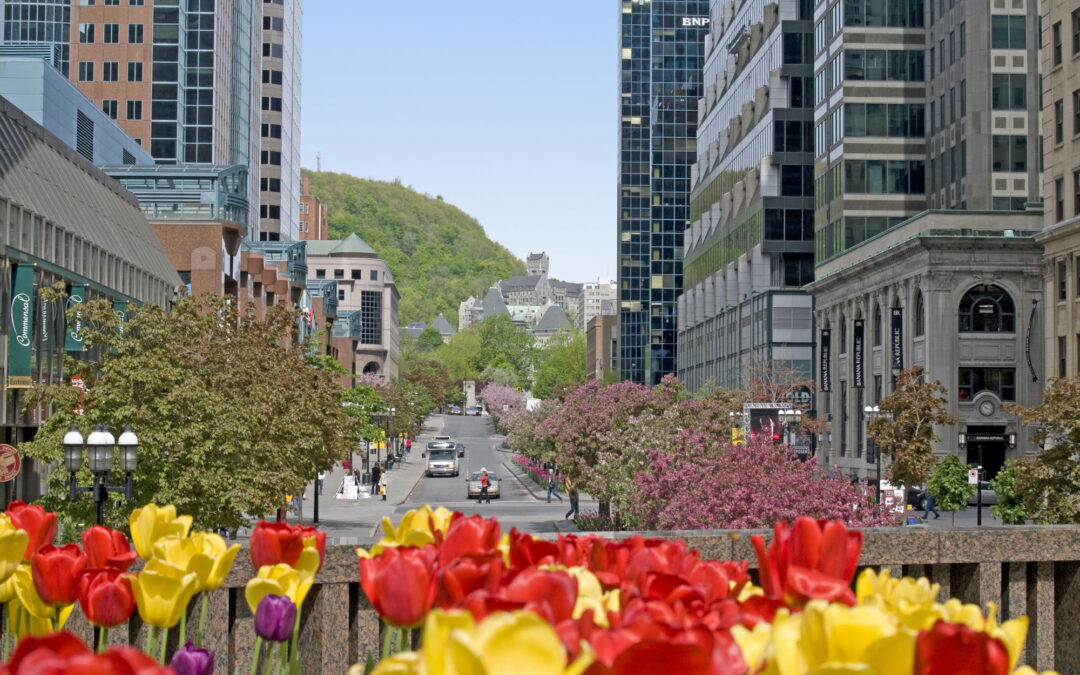 Avenue McGill College