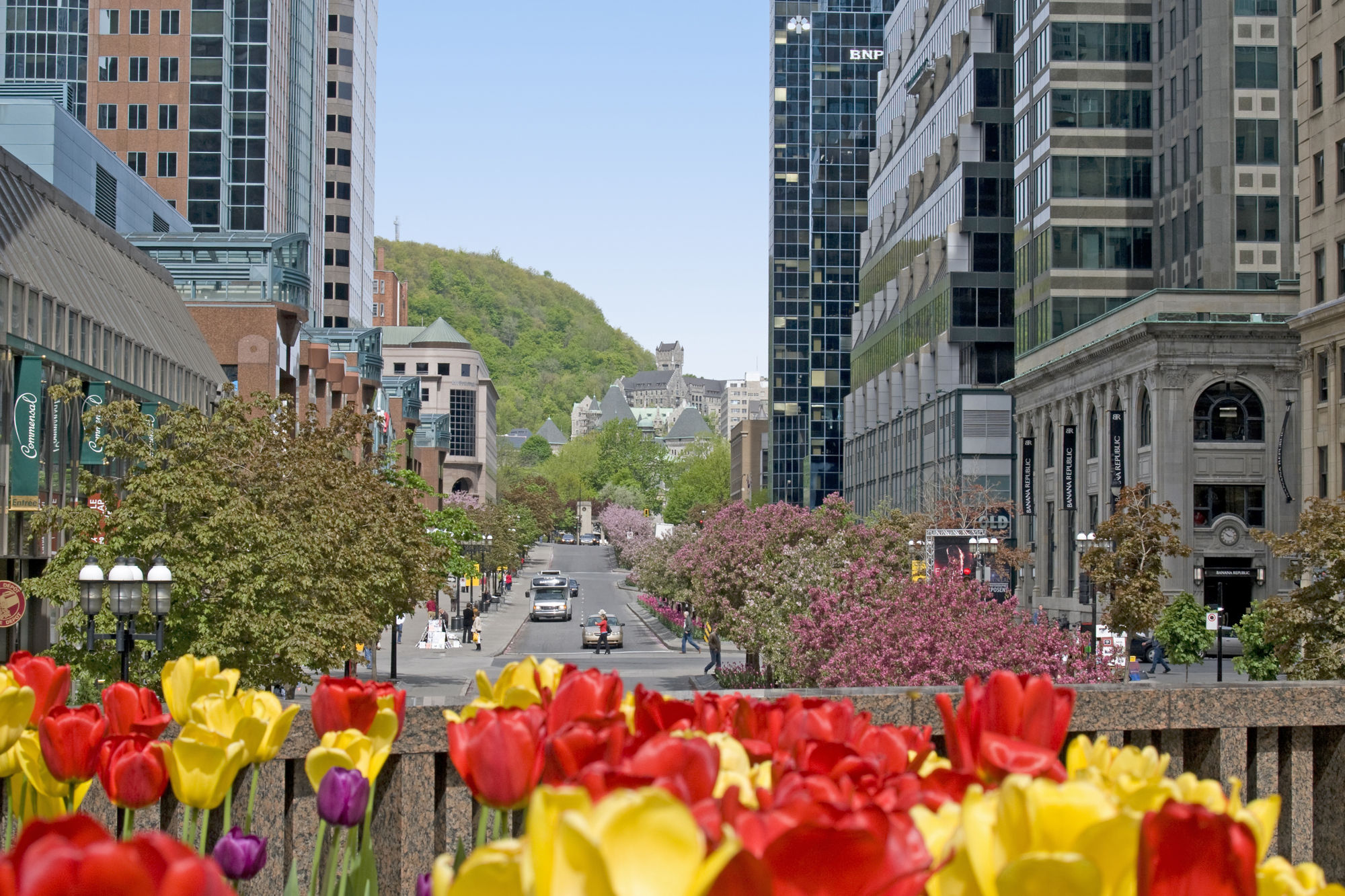 McGill College Avenue